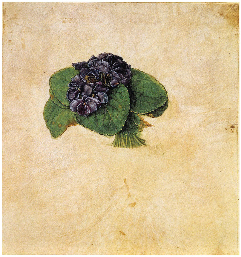 Albrecht Dürer. Bouquet of violets