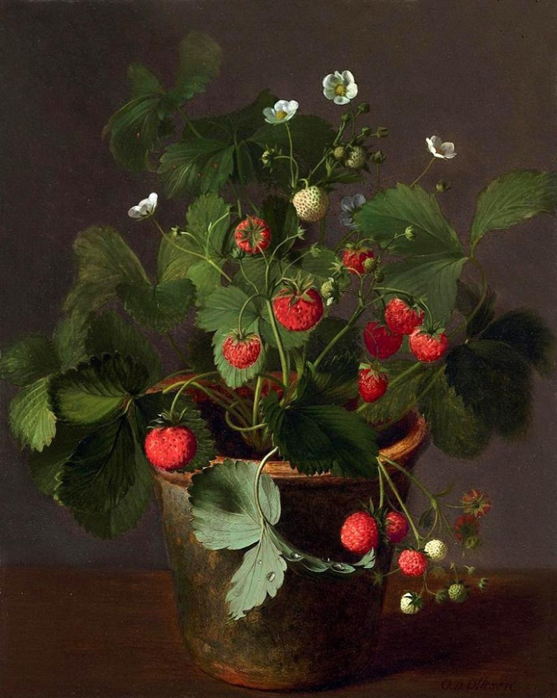 Otto Didric Ottesen. Blooming strawberry
