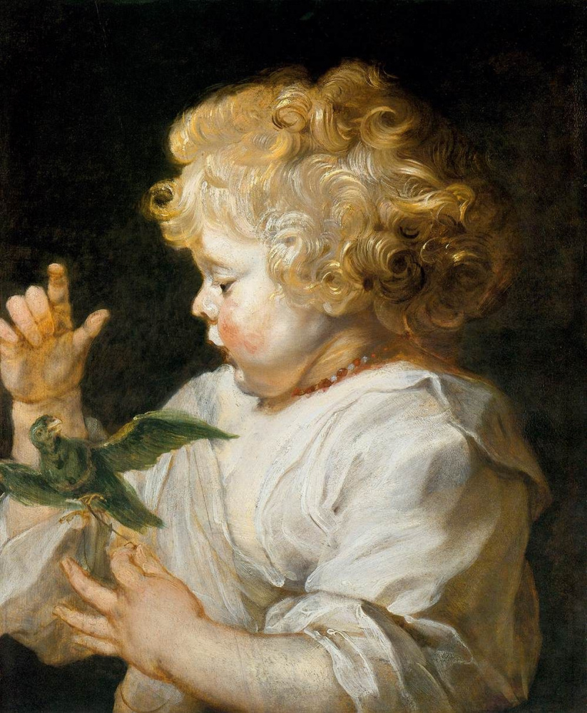 Peter Paul Rubens. A boy with a bird