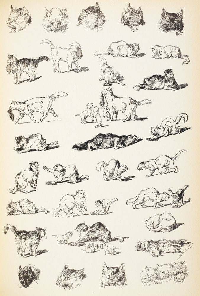Theophile-Alexander Steinlen. Hunting, fighting and motherhood. Scenes from cat's life
