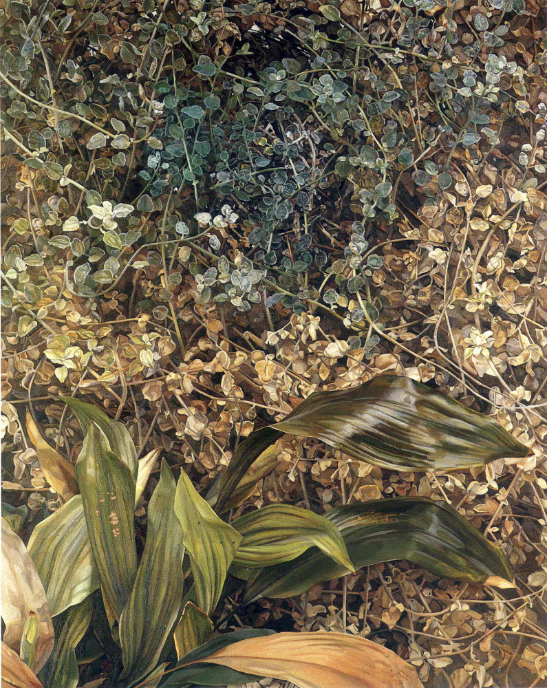 Lucien Freud. Two plants
