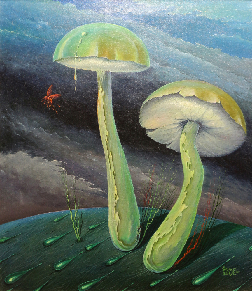 Leonid Alexandrovich Kolosov. Boletus