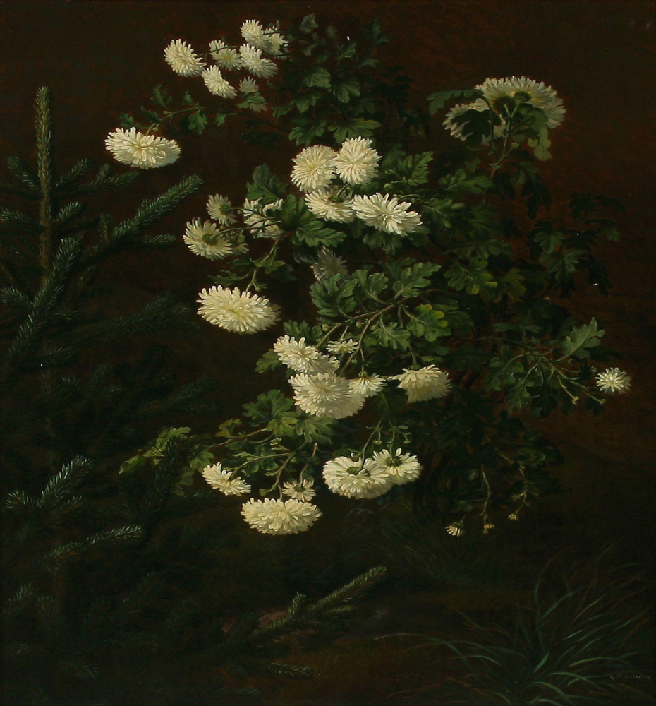 Otto Didric Ottesen. White chrysanthemum