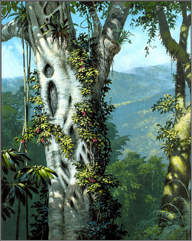 William Cooper. Rainforest