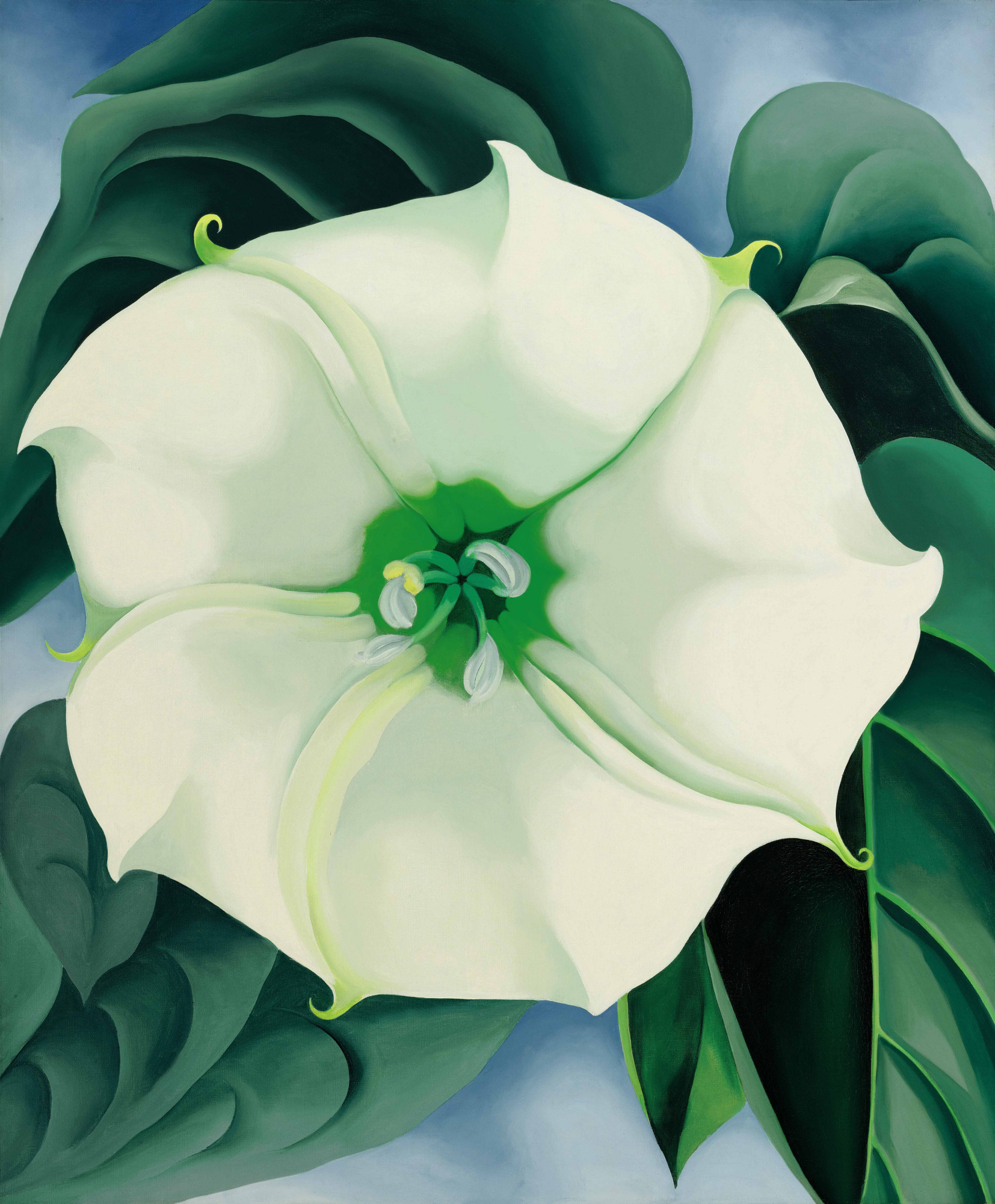 Jimson weed (White flower No. 1), 1932, 102×122 cm by Georgia O