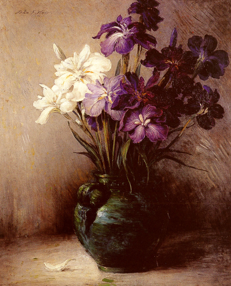 John Ferguson. Japanese iris-six varieties