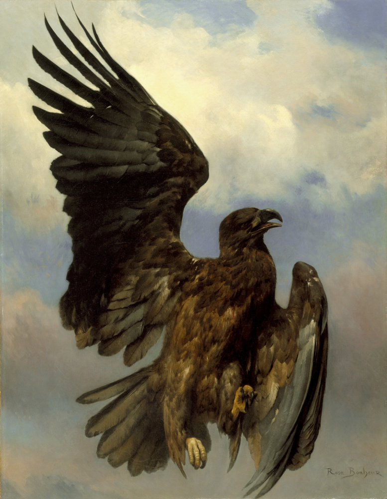 Rose Bonhur. Wounded eagle