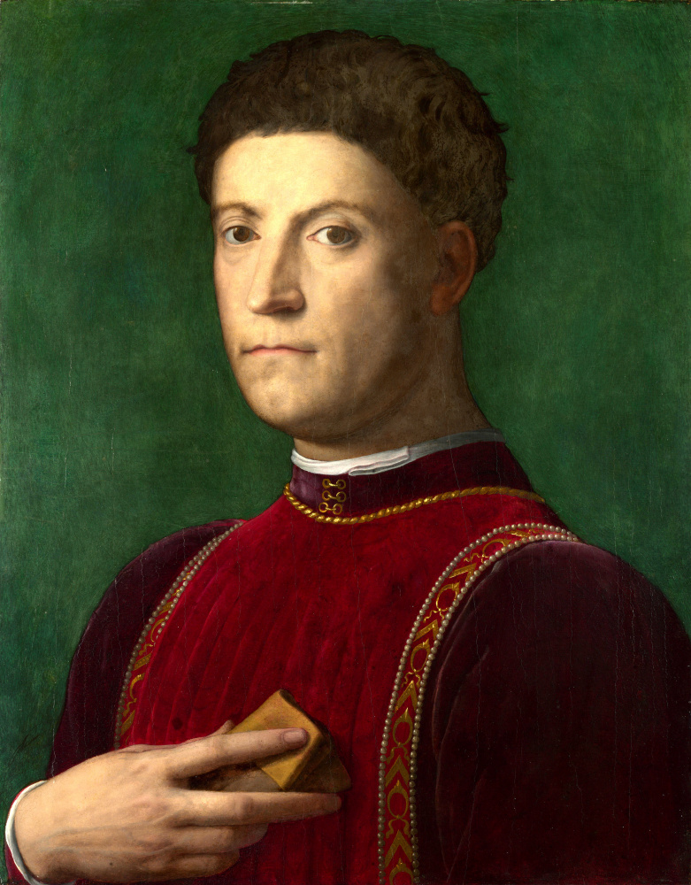Agnolo Bronzino. Portrait of Pierrot de Medici