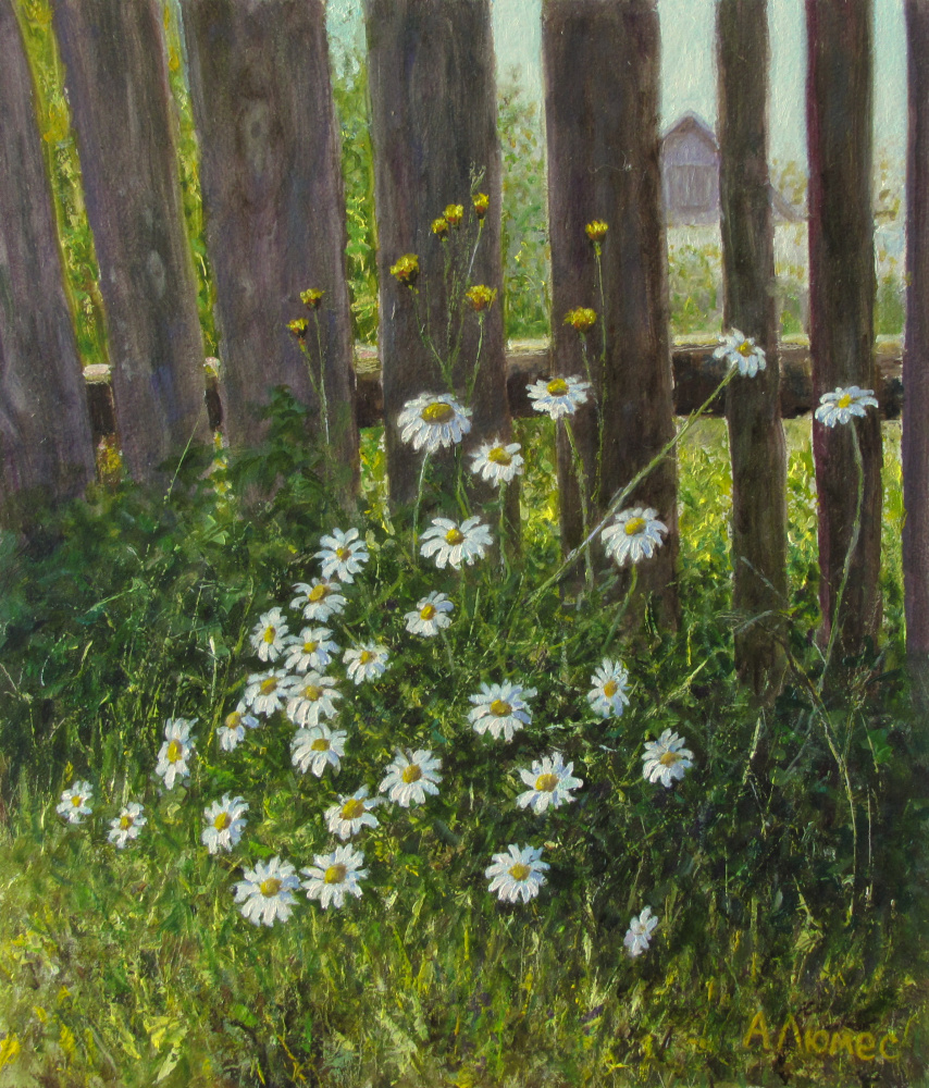 Andrew Lumez. Daisies