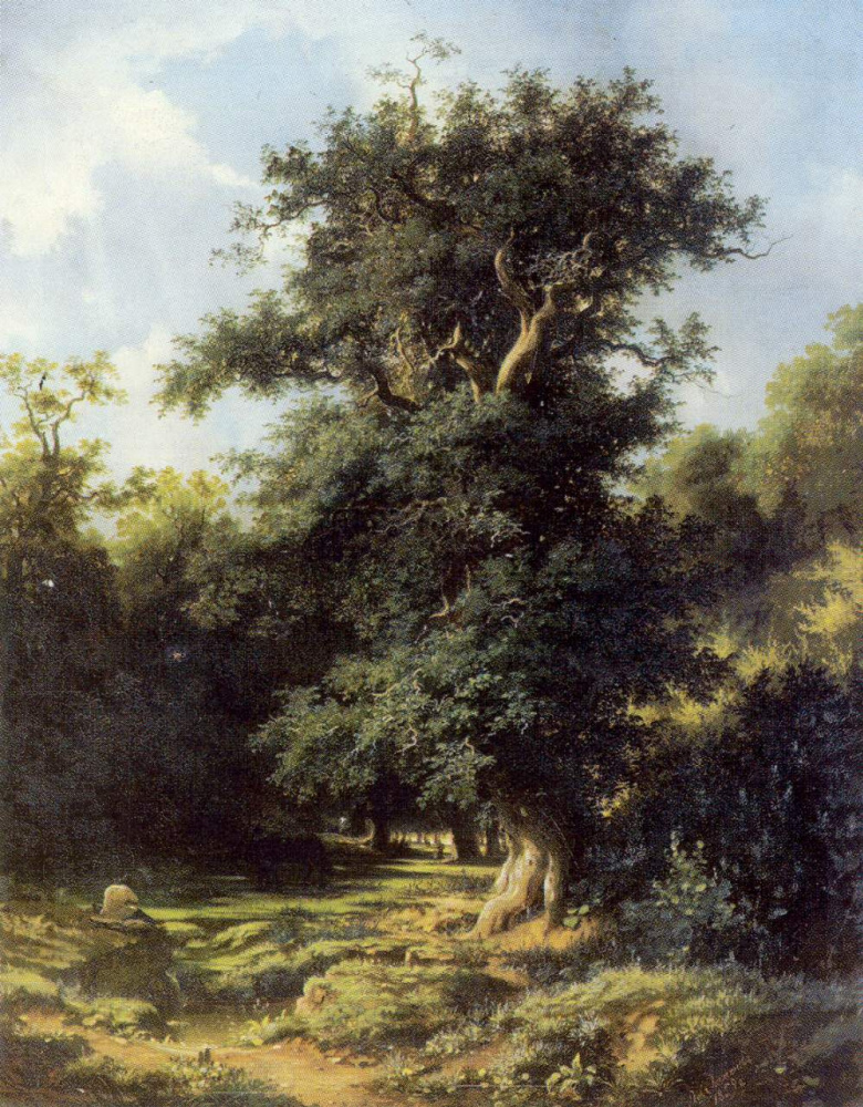 Lev Lvovich Kamenev. Old oak