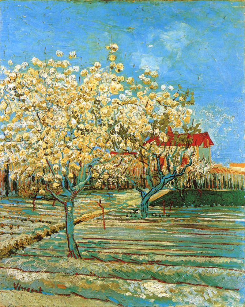 Vincent van Gogh. 果园盛开