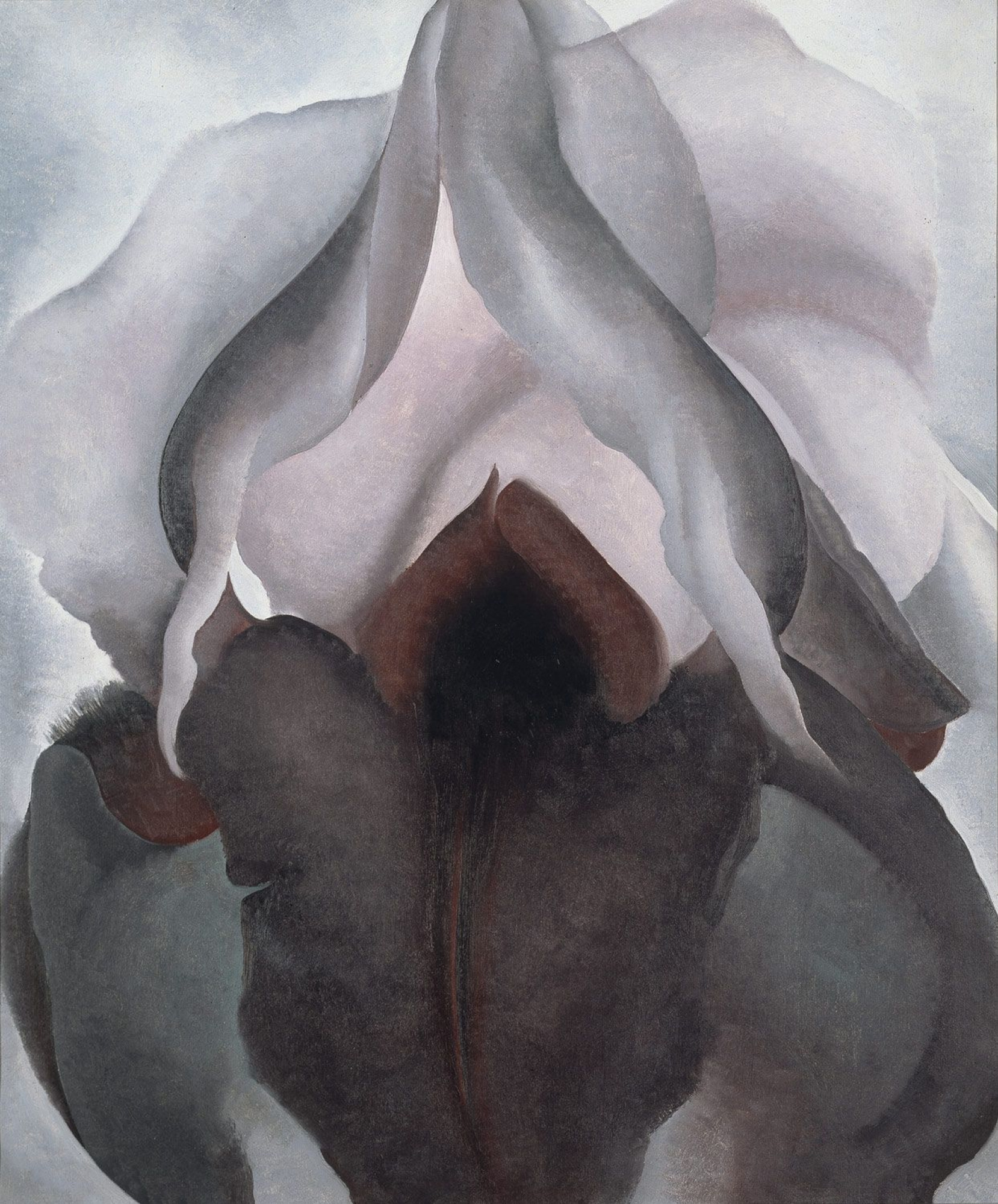 F. NERI 水彩画 Grazia della Folla Georgia O'Keefe Iris Noir III, 1926, 76×91 cm : Descriptif de l