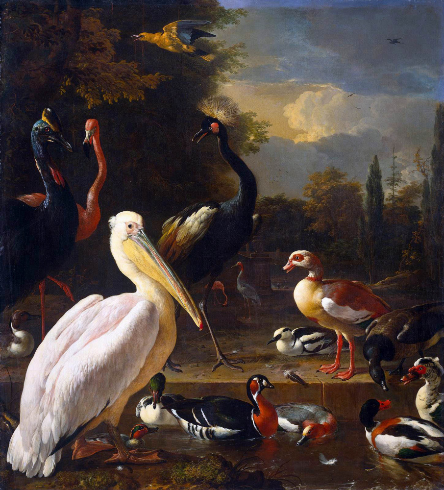 Melchior de Hondecuiter. Birds
