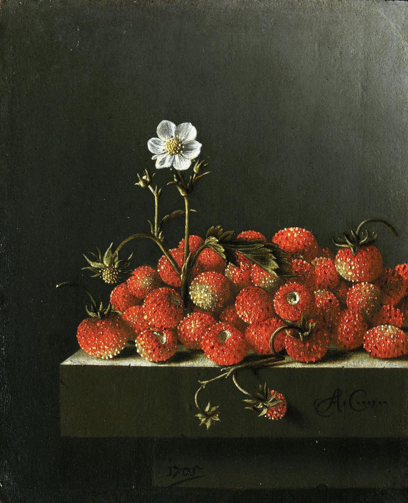 Adrian Coort (Coorte). Still life with wild strawberries