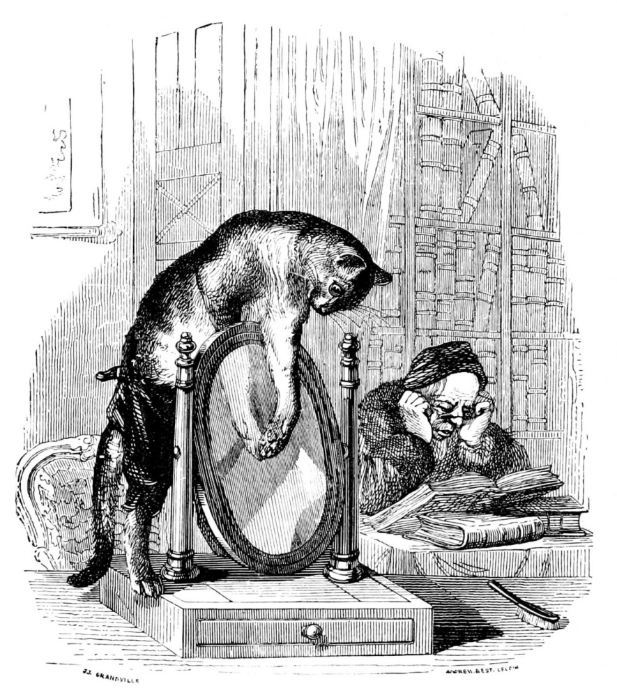 Jean Ignace Isidore Gérard Grandville. The inquisitive cat. Illustrations to the fables of Florian