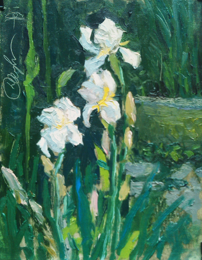 Igor Simelin. "Irises in the garden"