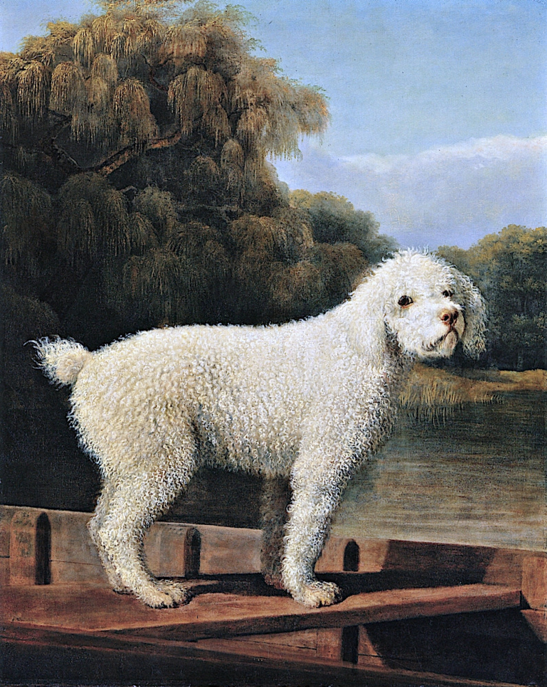 George Stubbs. White poodle in a boat