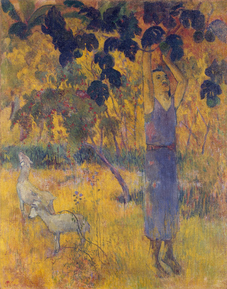 Paul Gauguin. The man gathering the fruit from the tree