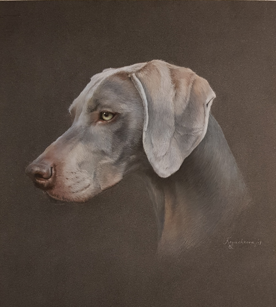 Irina Kryuchkov. Portret Weimarjevega psa