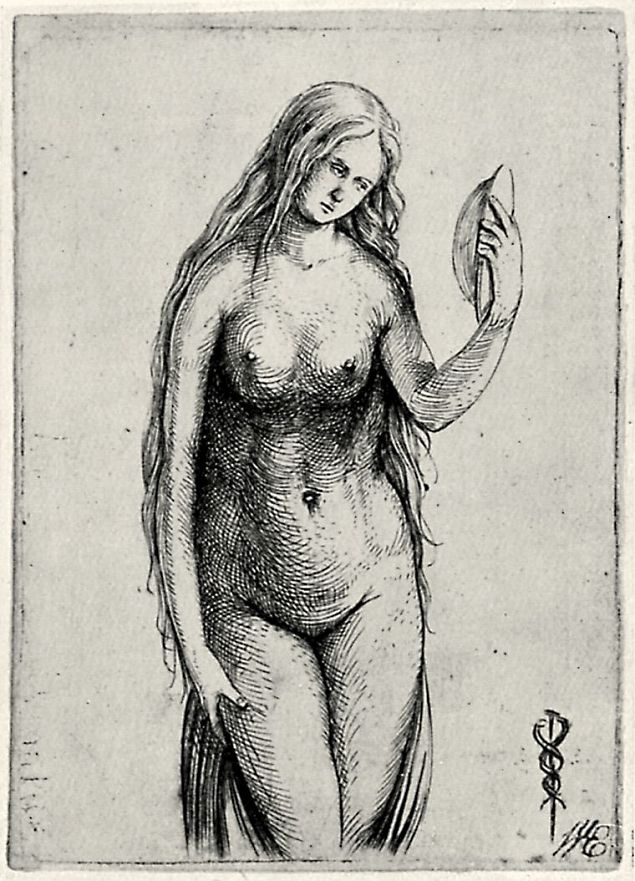 Jacopo de Barbary. Venus
