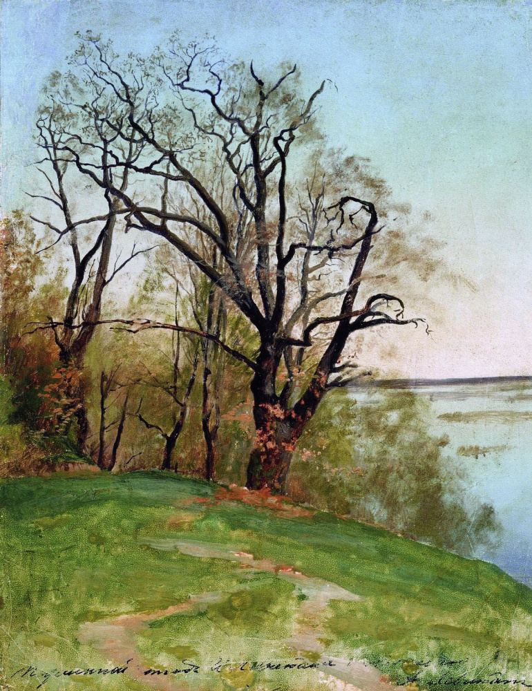 Isaac Levitan. Oak on the river Bank