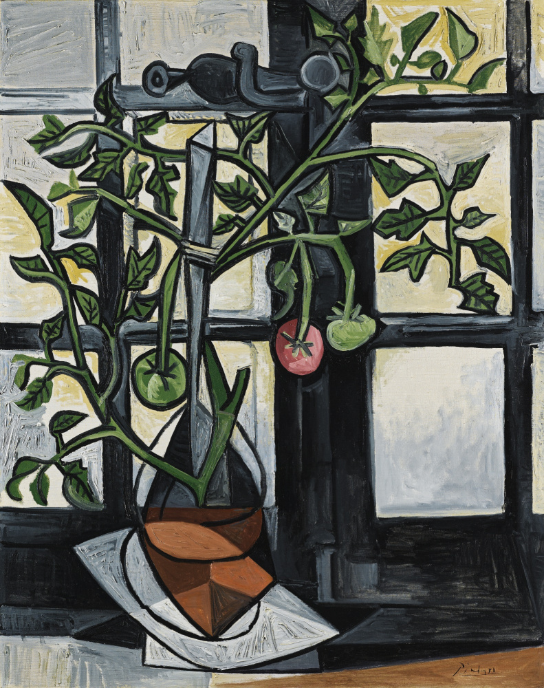 Pablo Picasso. Tomatenbusch