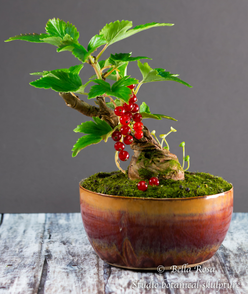 Valery Drey. Currant bonsai. Mini.