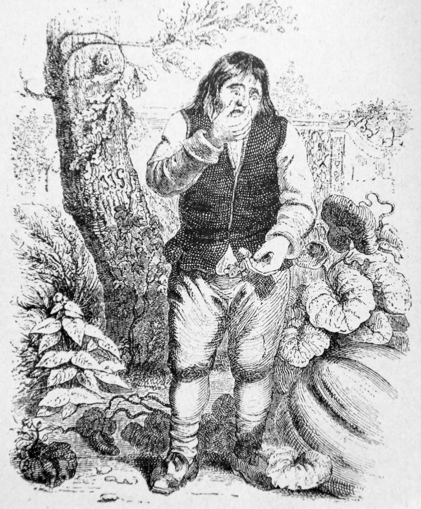 Jean Ignace Isidore Gérard Grandville. Acorn and Pumpkin. Illustrations to the fables of Jean de Lafontaine