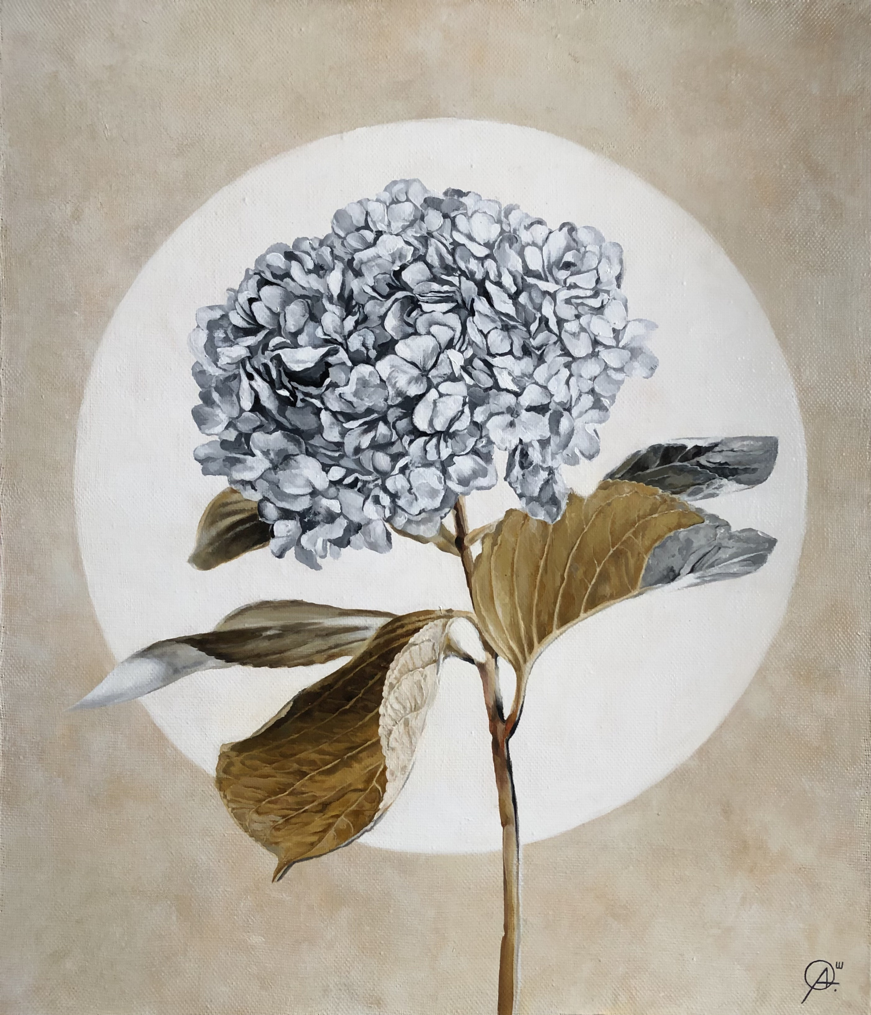 Buy an artwork: Hydrangea by Olga Shatskaya, Novoural'sk | Arthive