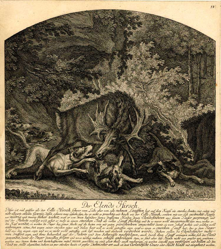 Johann Elias Ridinger. Scary deer