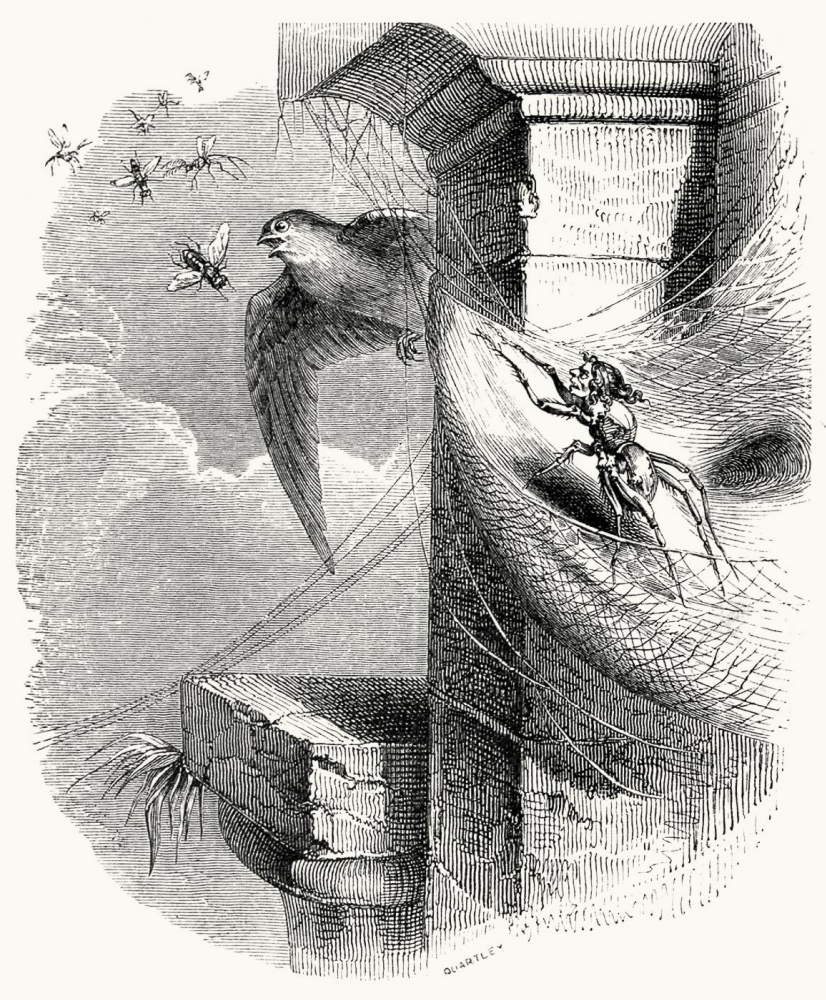 Jean Ignace Isidore Gérard Grandville. Spider and Swallow. Illustrations to the fables of Jean de Lafontaine