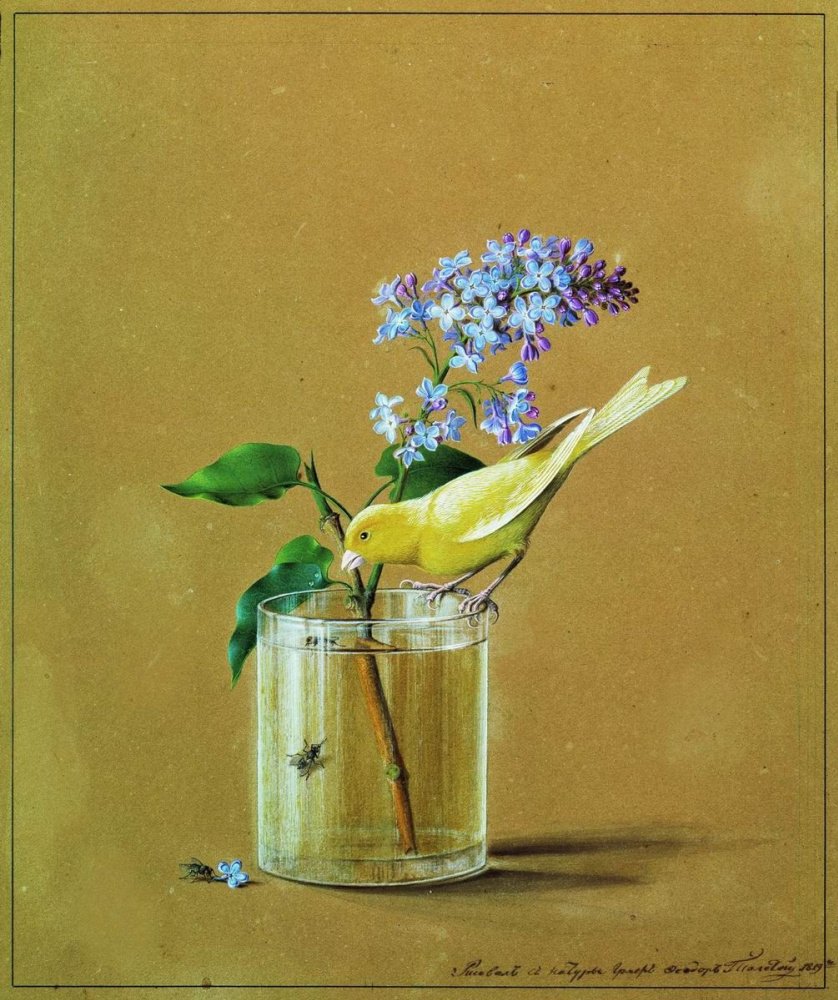 Fedor Petrovich Tolstoy. Branch of lilac and a Canary