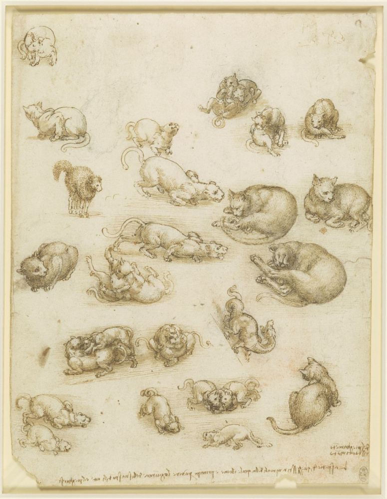 Leonardo da Vinci. Sketching cats, dragons, and other animals