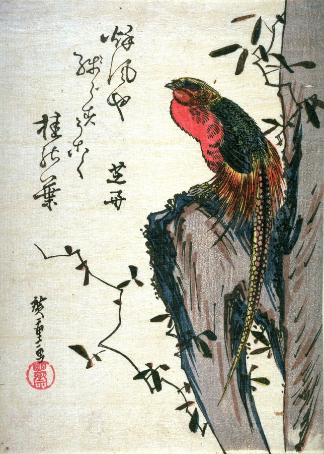 Utagawa Hiroshige. Golden pheasant on a rock