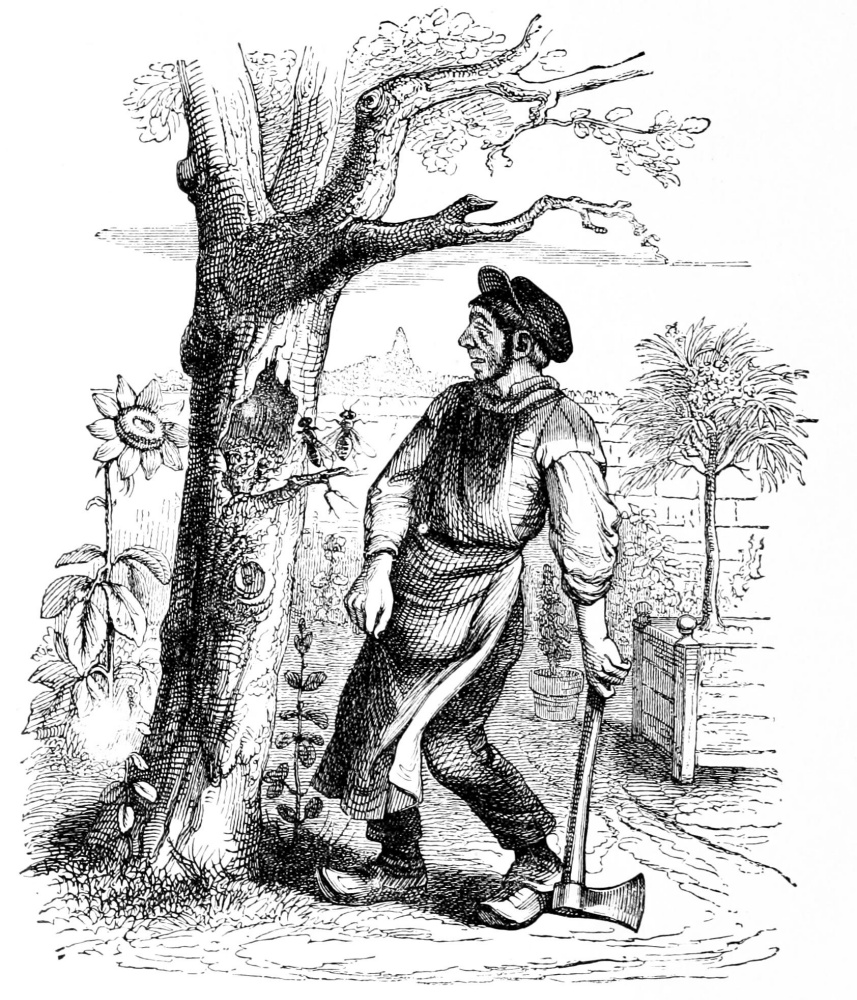 Jean Ignace Isidore Gérard Grandville. A gardener and an old tree. Illustrations to the fables of Florian