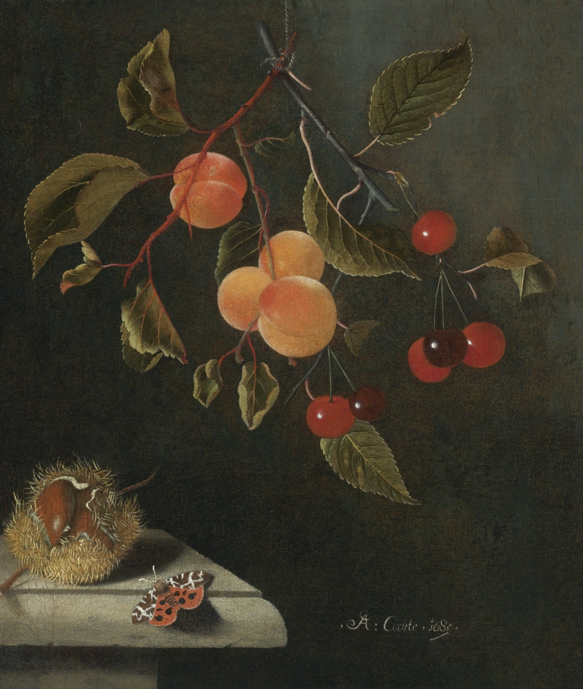 Adrian Coort (Coorte). Still life with butterfly, apricots, cherries and chestnuts