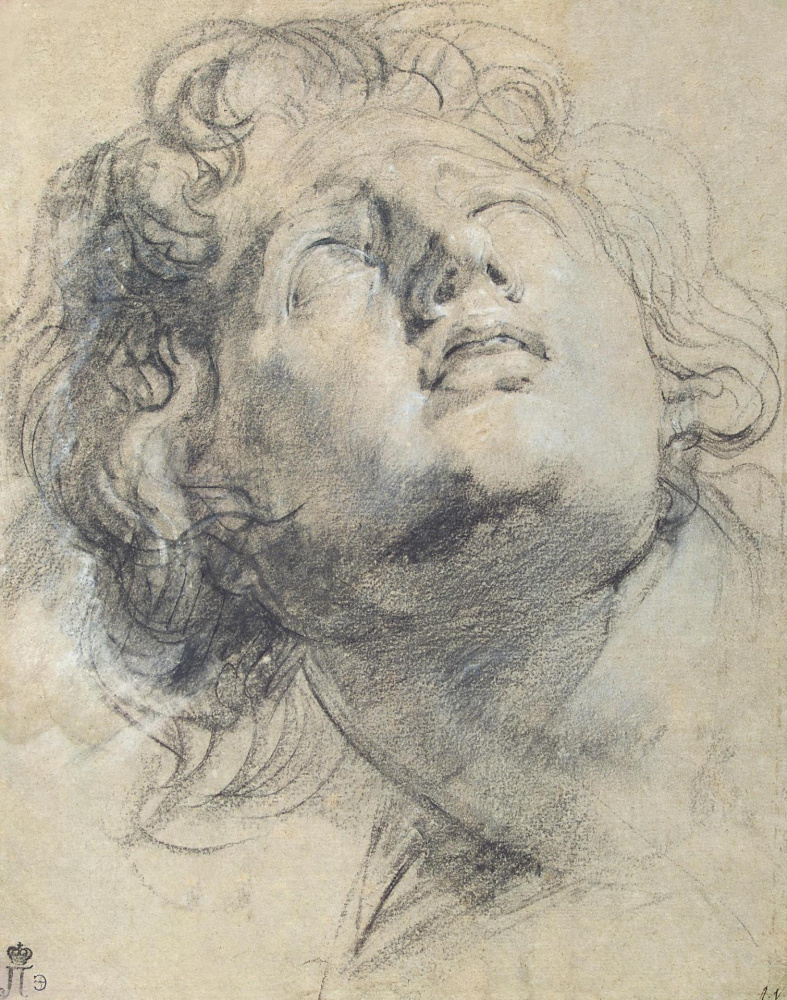 Anthony van Dyck. Head of a youth looking up