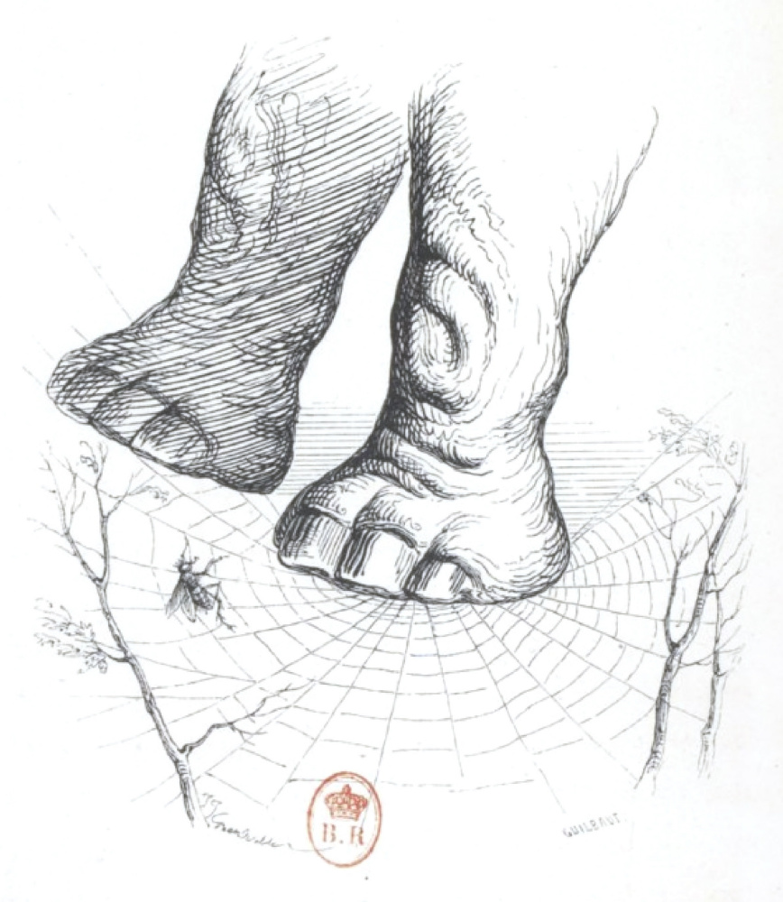 Жан Иньяс Изидор (Жерар) Гранвиль. Слон в паучьем гамаке. "Сцены общественной и частной жизни животных"