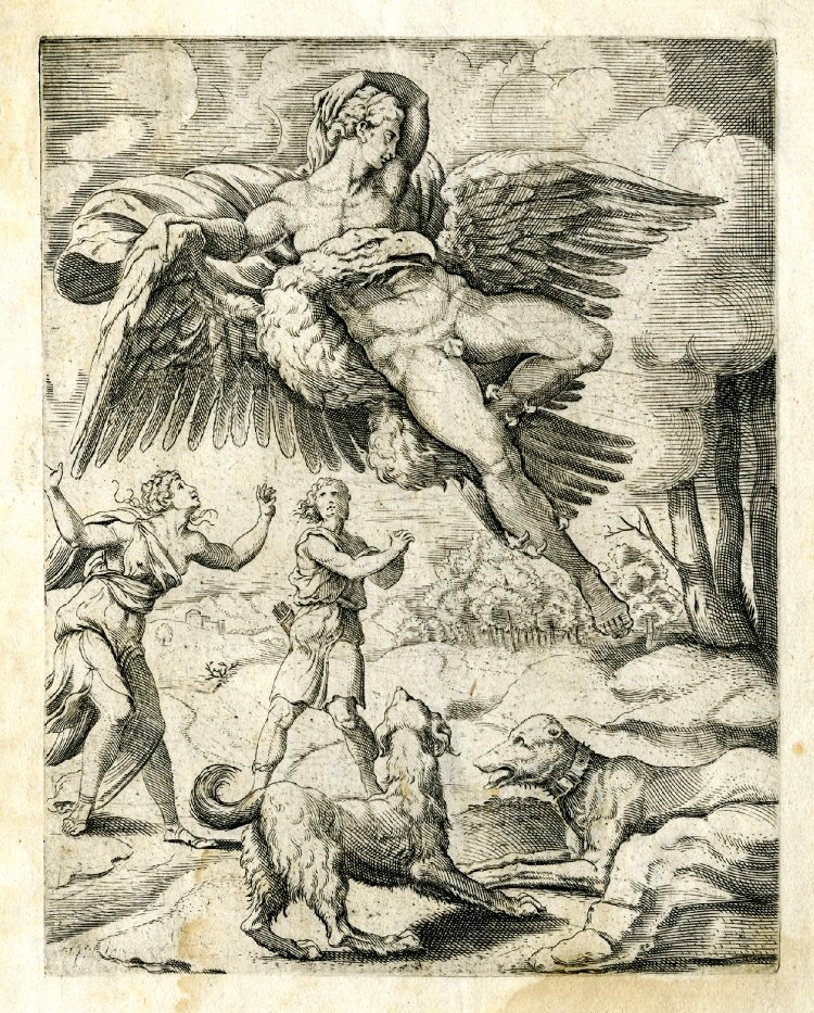 The Abduction Of Ganymede