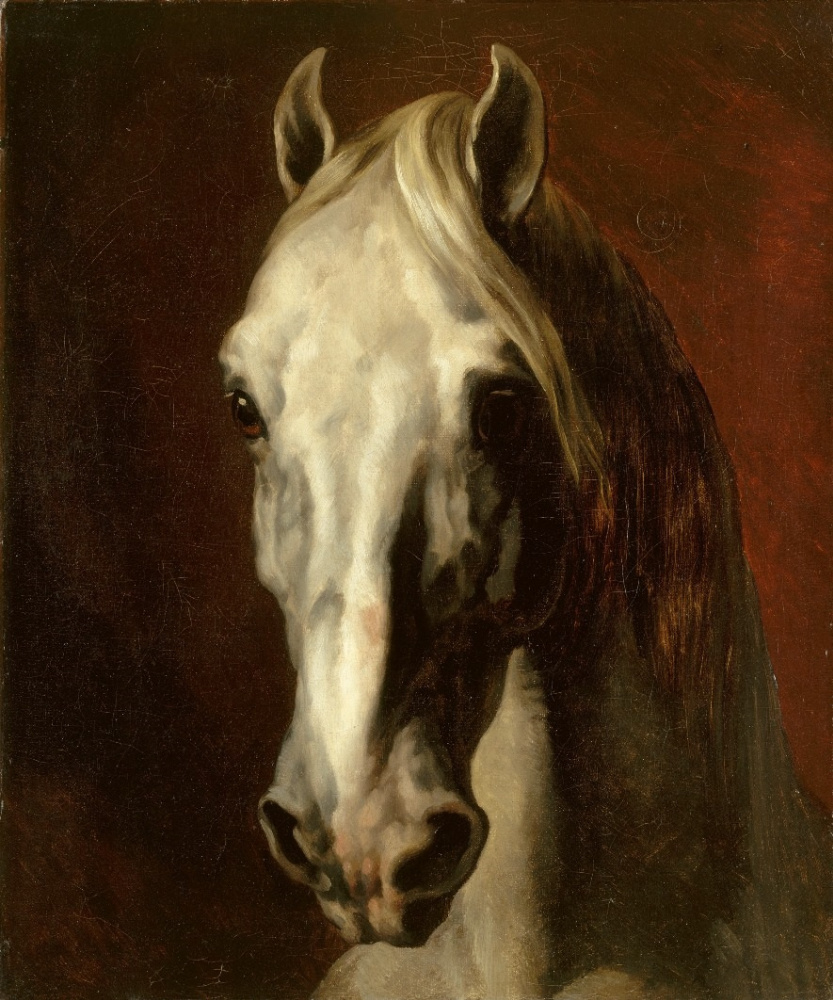 Théodore Géricault. White horse head