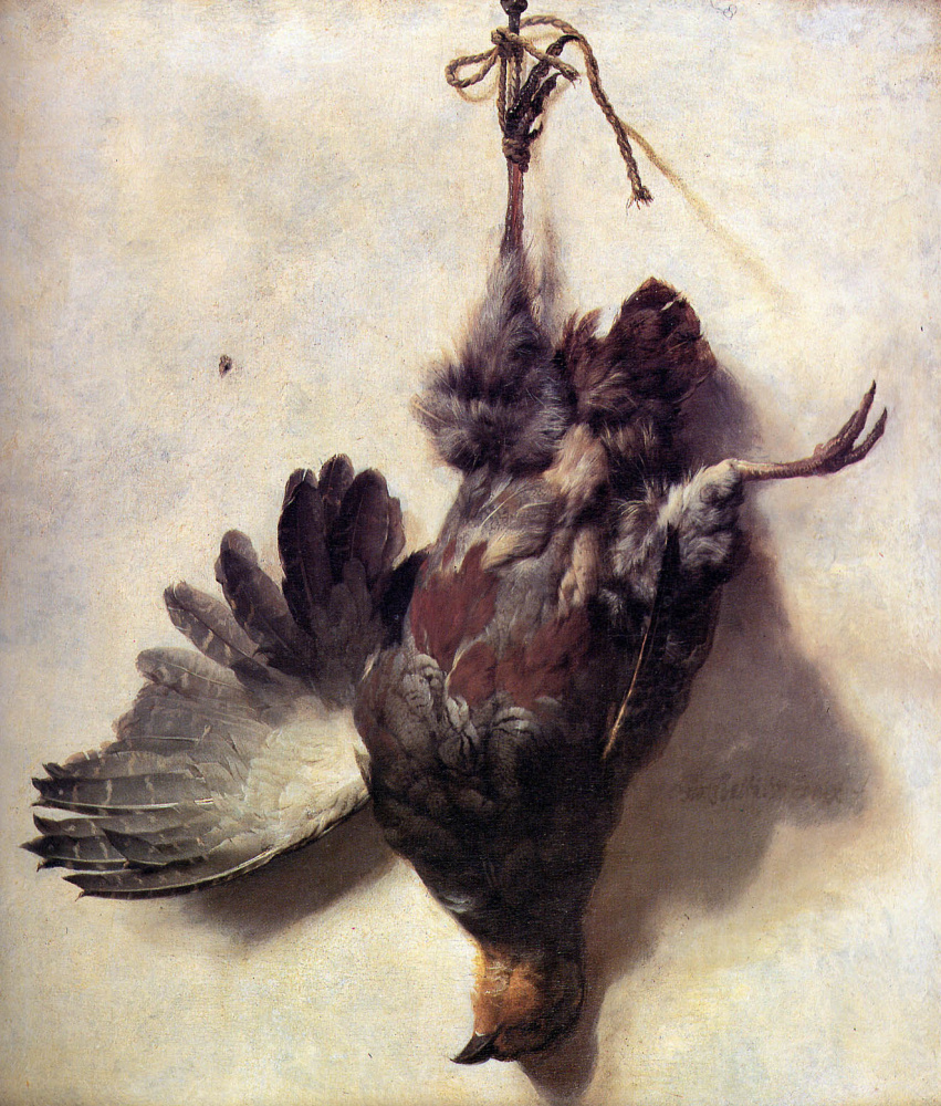 Jan Baptist Venix. Dead partridge