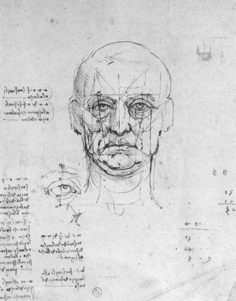 Leonardo da Vinci. The proportions of the human head and eye