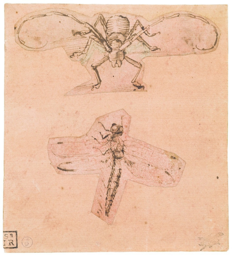 Leonardo da Vinci. The figure of beetle-barbel and dragonflies