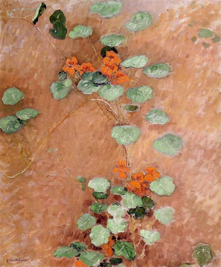 Gustave Caillebotte. Nasturtiums