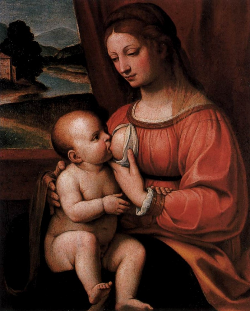 Bernardino Luini. Madonna enfermera