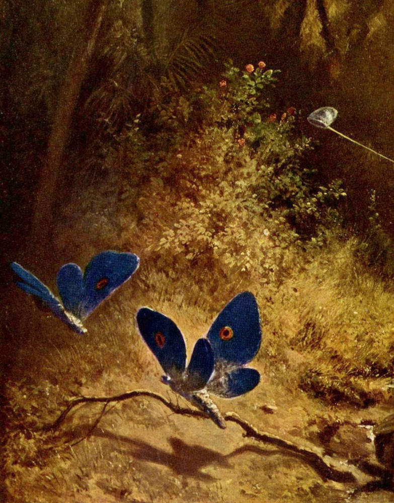 Karl Spitzweg. Butterfly catcher. Fragment