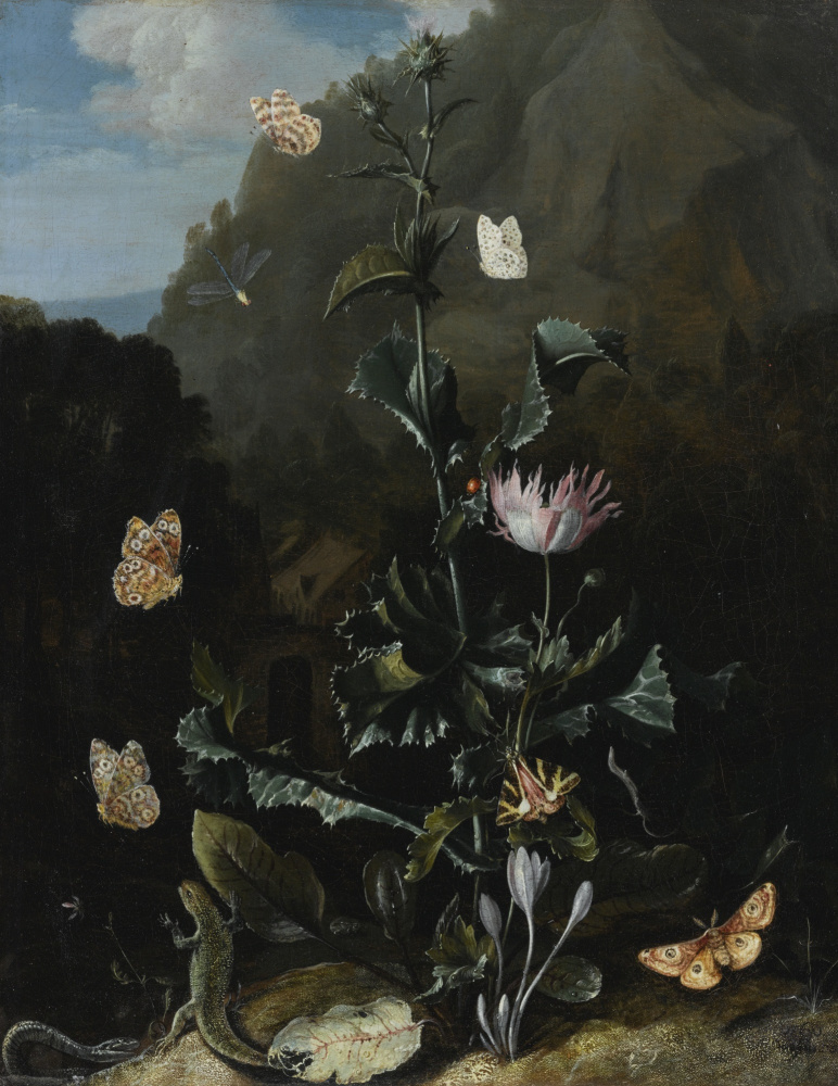 Otto Marceus van Scriec. Natura morta con un cardo e altri fiori, con una falena, una libellula, una lucertola e un serpente in un paesaggio