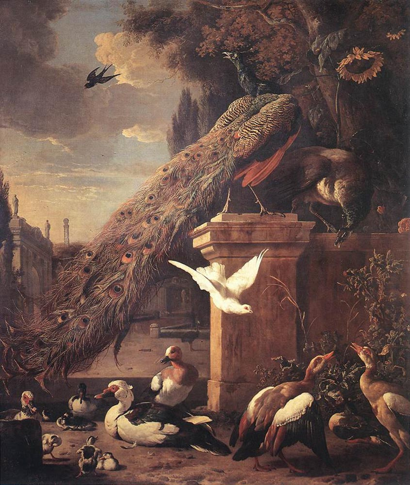 Melchior de Hondecuiter. Peacocks and ducks