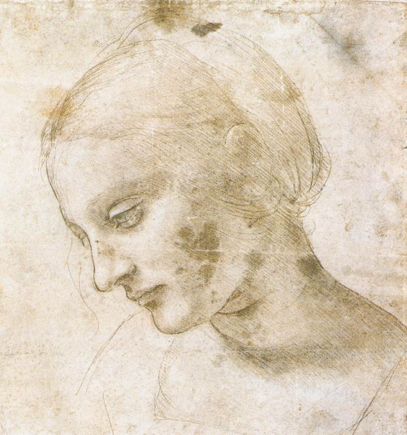 Leonardo da Vinci. Madonna Litta (sketch)