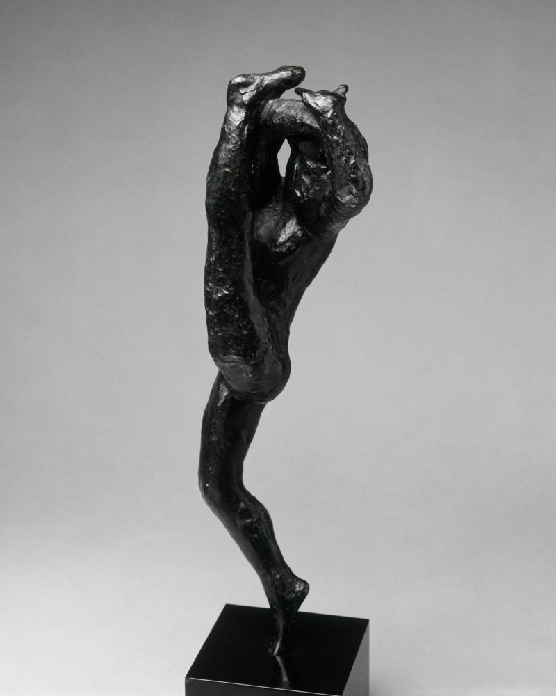 Auguste Rodin. The moment of a dance
